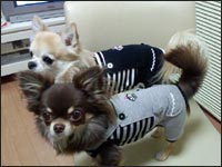 �`�����N���|���N