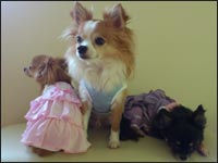 ��񂿂�񁕂����N���邫�������