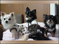 �͂Ȃ���񁕃����N���}���������