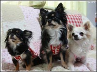 �}��������񁕃����N���͂Ȃ����