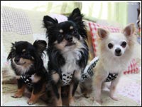 �}��������񁕃����N���͂Ȃ����