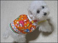 ����䂫����