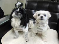 �Á��Ղ�񂿂��