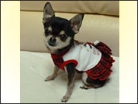 �o�j�������