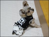 �O���������