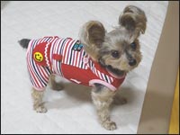 �O���������