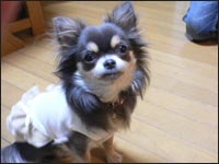 I�l����킿���