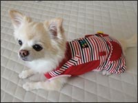 ���Ȃ������