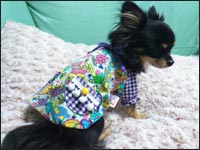 �}���������