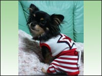 �}���������