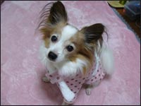 ���O�����