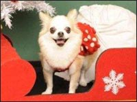 ���O�����