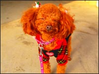 ��˂����