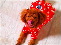 ��˂����