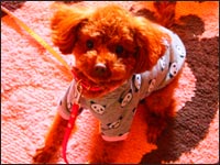 ��˂����