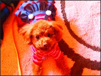 ��˂����