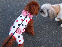 ��˂����