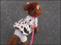 ��˂����