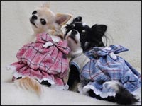 ���Ȃ�����񁕂݂邭�����