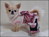 �݂邭�����