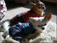 ���P����񁕎��P�����