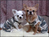 ���P����񁕎��P�����