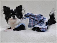 ���Ȃ������