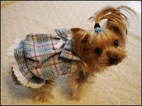 �|�e�g�����