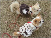 �肱����񁕂ق̂������