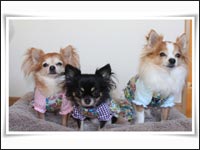 ��񂿂�񁕂����N���邫�������