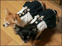 ��񂿂�񁕂邫�������