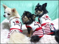 �͂Ȃ���񁕃}��������񁕃����N