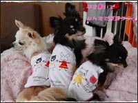 �͂Ȃ���񁕃����N���}���������