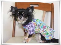 �邫�������