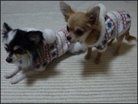 �܂ߌN���䂸�����