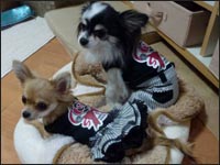 �܂ߌN���䂸�����