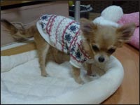 �䂸�����