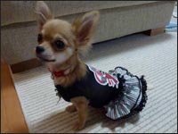 �䂸�����