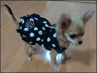 �䂸�����