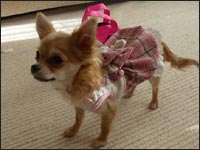 �䂸�����