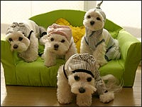 �j���E�l�M�E�i�X�E�E�j�����