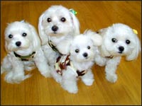 SORA�ESAM�EKAI�ERIKU