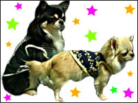 �r�b�V������E�{�������