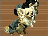 �r�b�V������E�{������