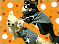 �r�b�V������E�{������