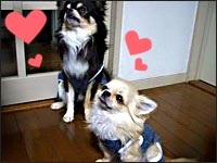 �r�b�V������E�{������