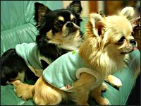 �r�b�V������+�{������