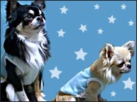 �r�b�V������+�{������