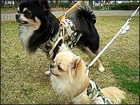 �r�b�V������E�{������