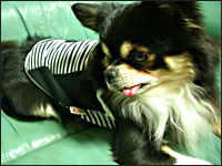 �r�b�V������